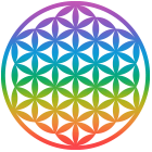 i9 Informed water Bottle - ChromoTherapy utilisez le pouvoir de la chromothérapie grâce aux couleurs de la bouteille i9. Ce visuel présente une fleur de vie dans les couleurs chakras