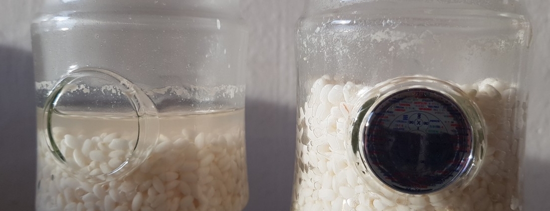 Le riz de la bouteille i9 absorbe l'eau, hydratation optimale