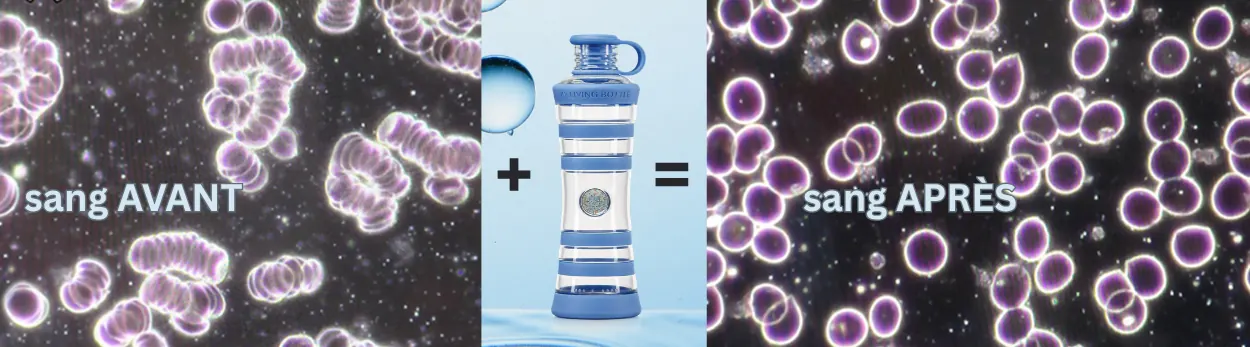 Comparaison de deux images microscopiques de sang présentées avant et après utilisation de la bouteille virea